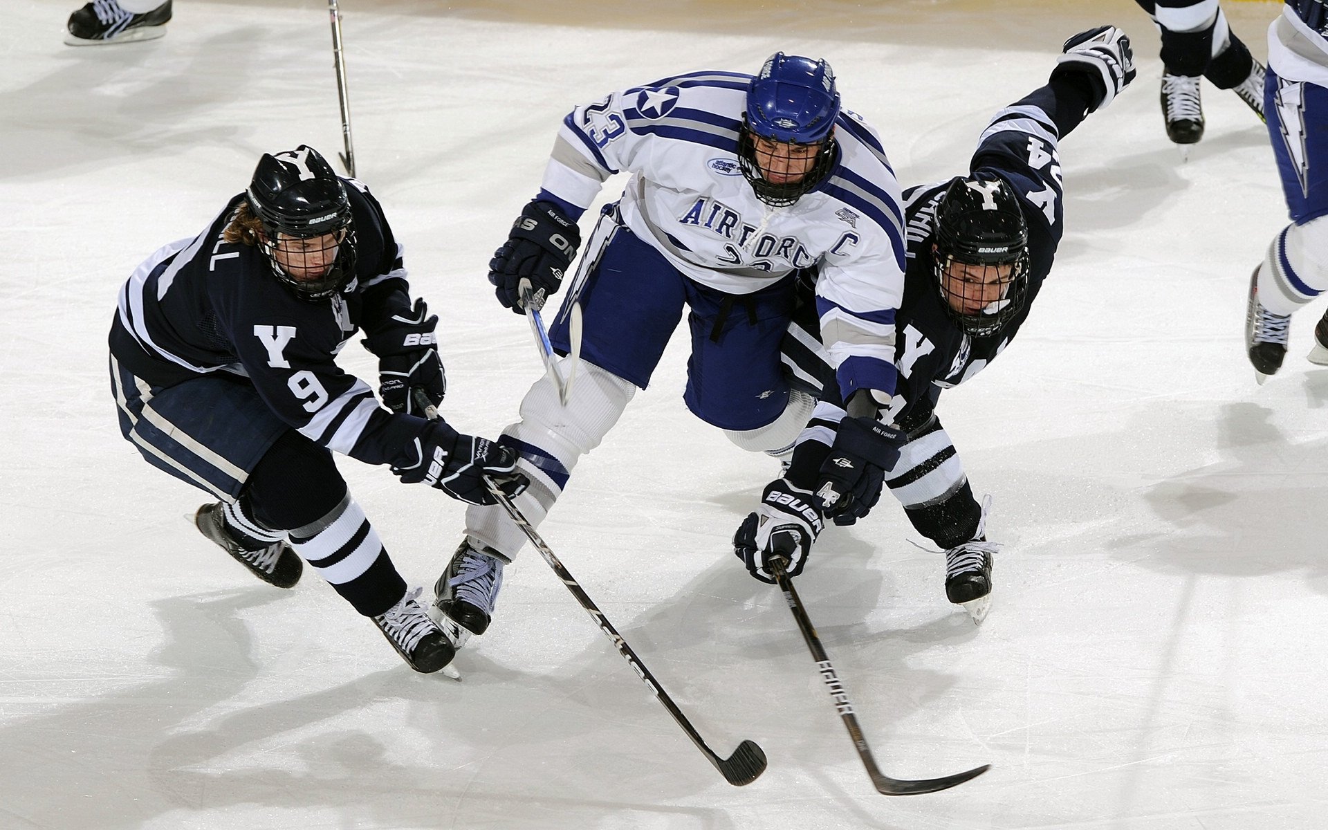 史上最惊心动魄的“冠军对决”重温经典瞬间，冠军对冠军综艺